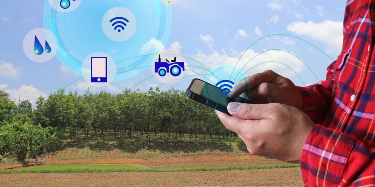 Rolul tehnologiei în agricultura modernă Rolul tehnologiei în agricultura modernă