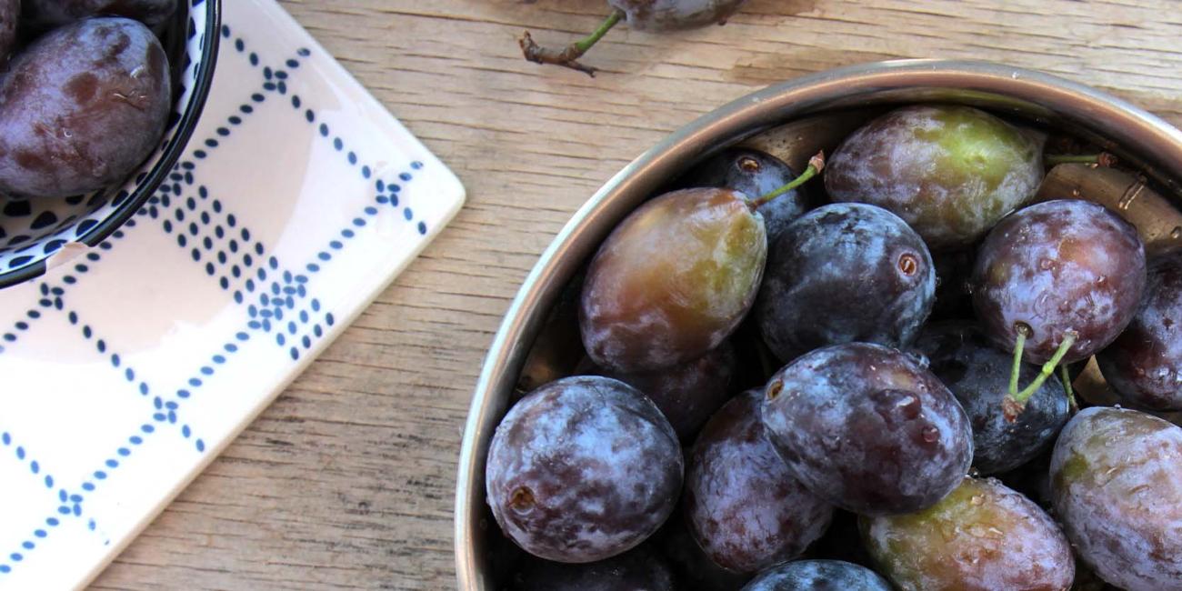 Monilioza la prun Monilioza la prun