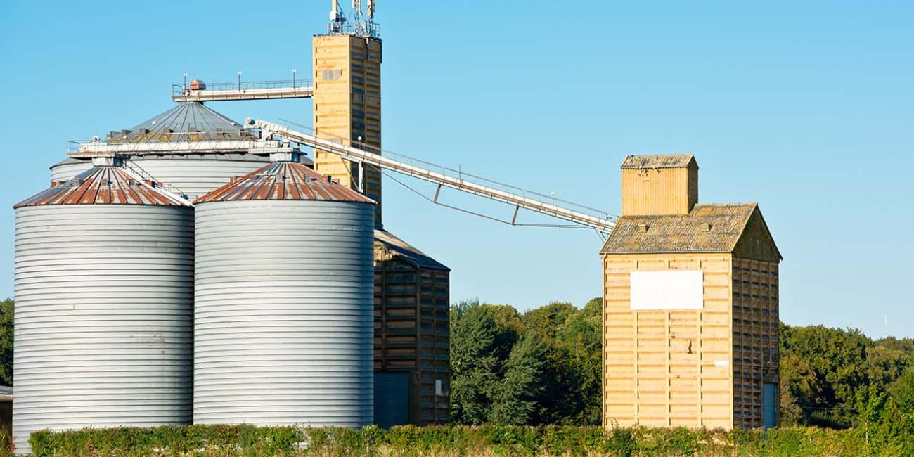 Tehnologii moderne în depozitarea cerealelor Tehnologii moderne în depozitarea cerealelor