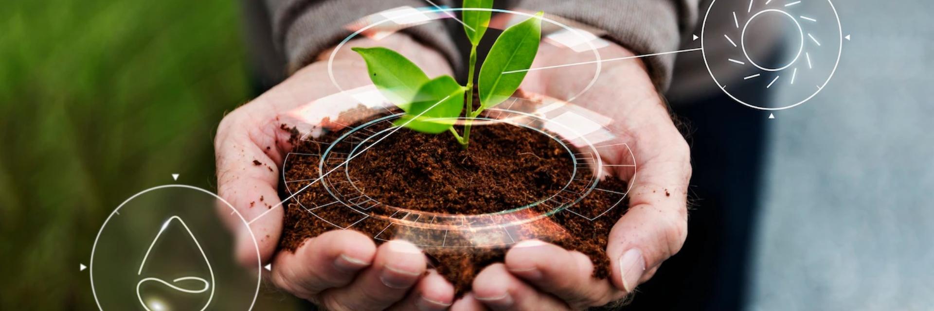Producția agricolă și creșterea ei: de ce merită să investești în tehnologie Producția agricolă și creșterea ei: de ce merită să investești în tehnologie