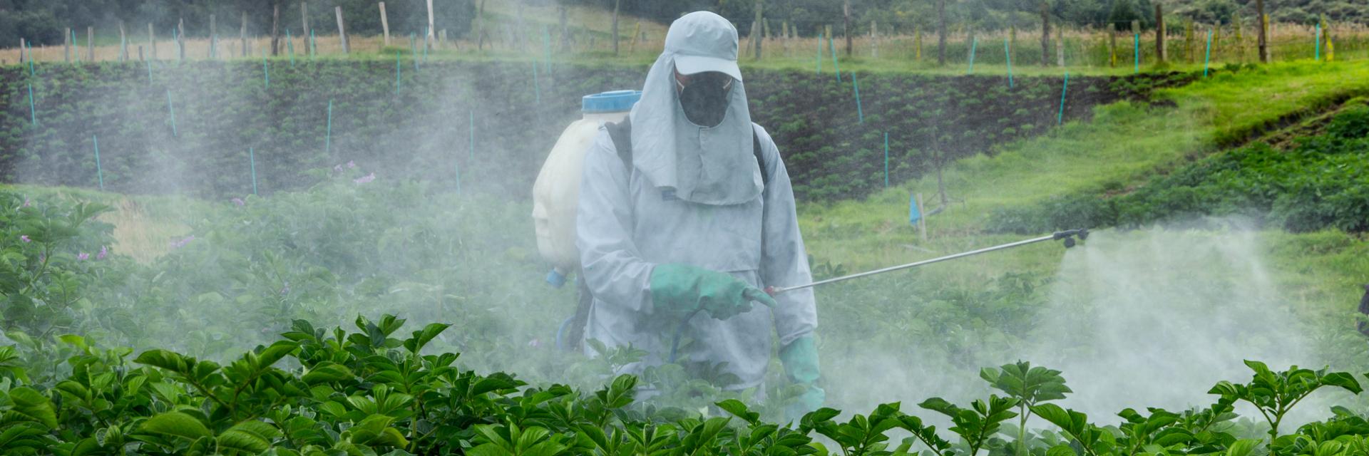 Utilizarea responsabilă a produselor fitosanitare în agricultură - ghid pentru fermieri și producători Utilizarea responsabilă a produselor fitosanitare în agricultură - ghid pentru fermieri și producători
