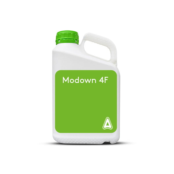 Erbicid MODOWN 4F 480 SC, 5L